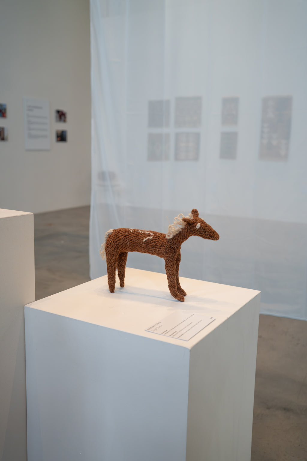 Cristina Gomez - Playful Little Horse