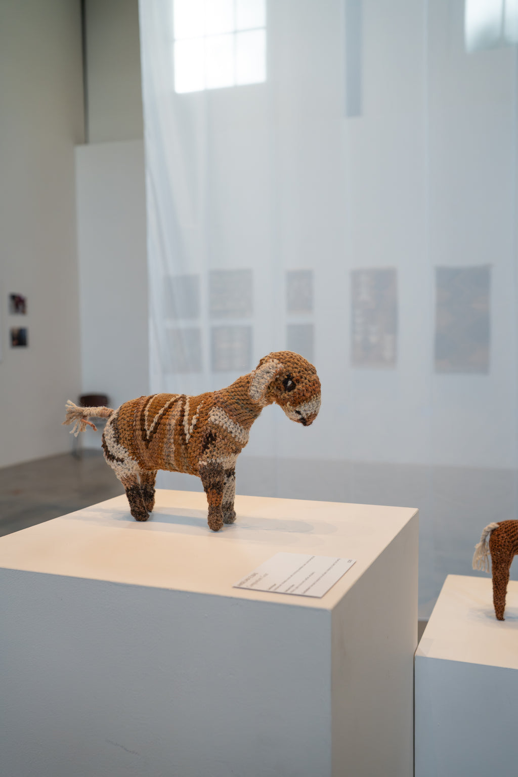 Ansalma Elbas - Companions Goat