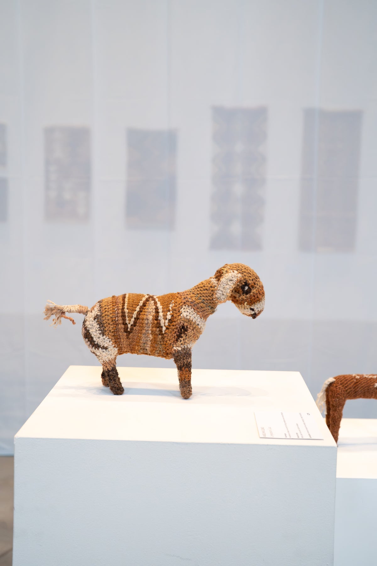 Ansalma Elbas - Companions Goat