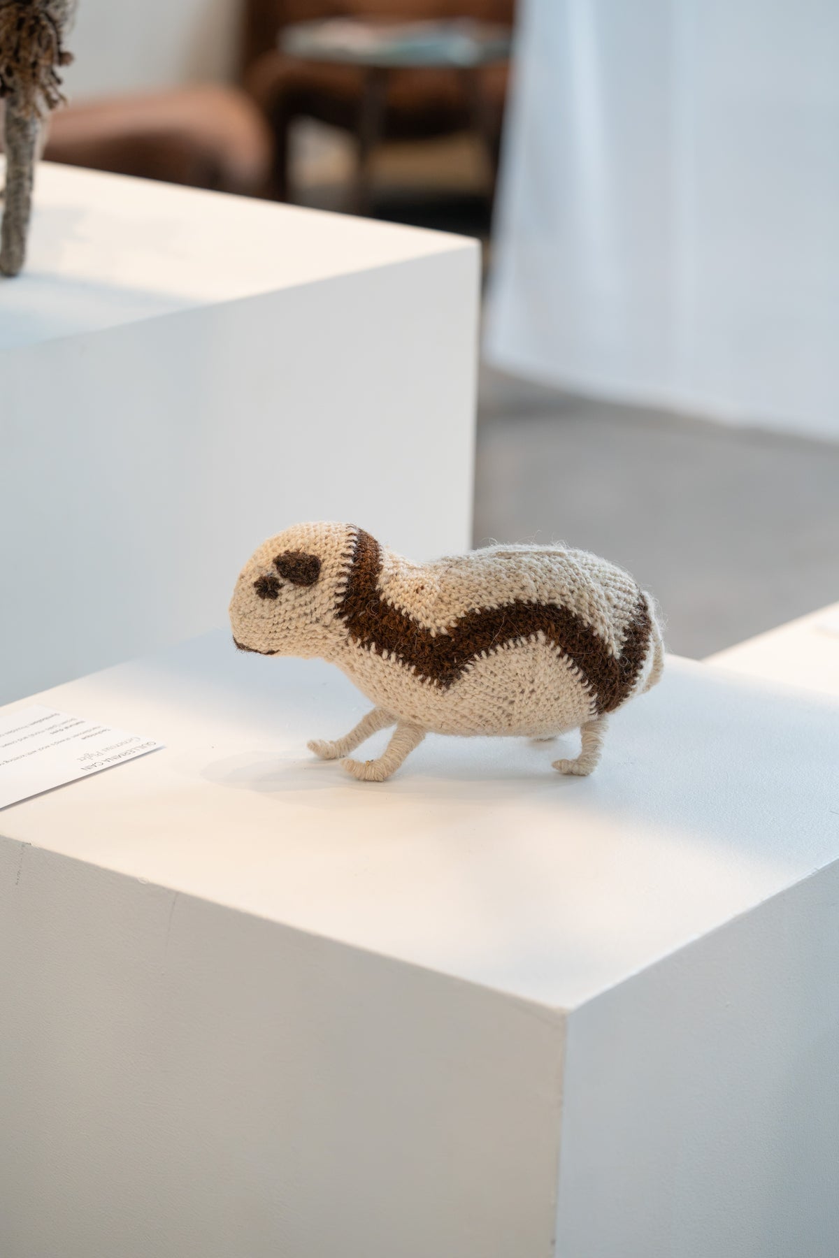 Guillermina Cain - Generous Piglet