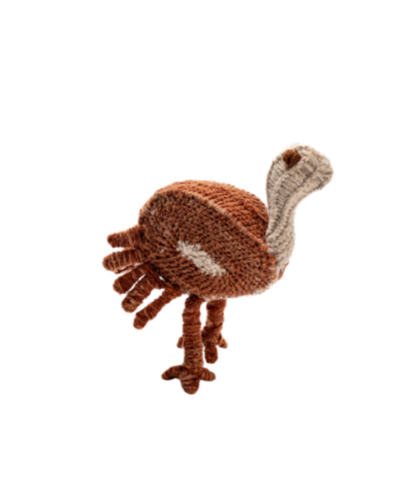 Cecilia Correa - Swift Suri Alpaca